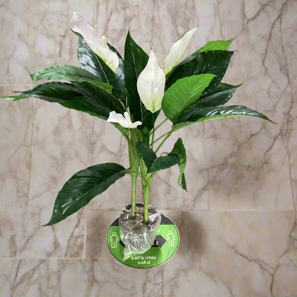 artificial peace lily stems SKYGARDEN ARTIFICIAL POTTED PEACE LILY – THE HOME EXPO
