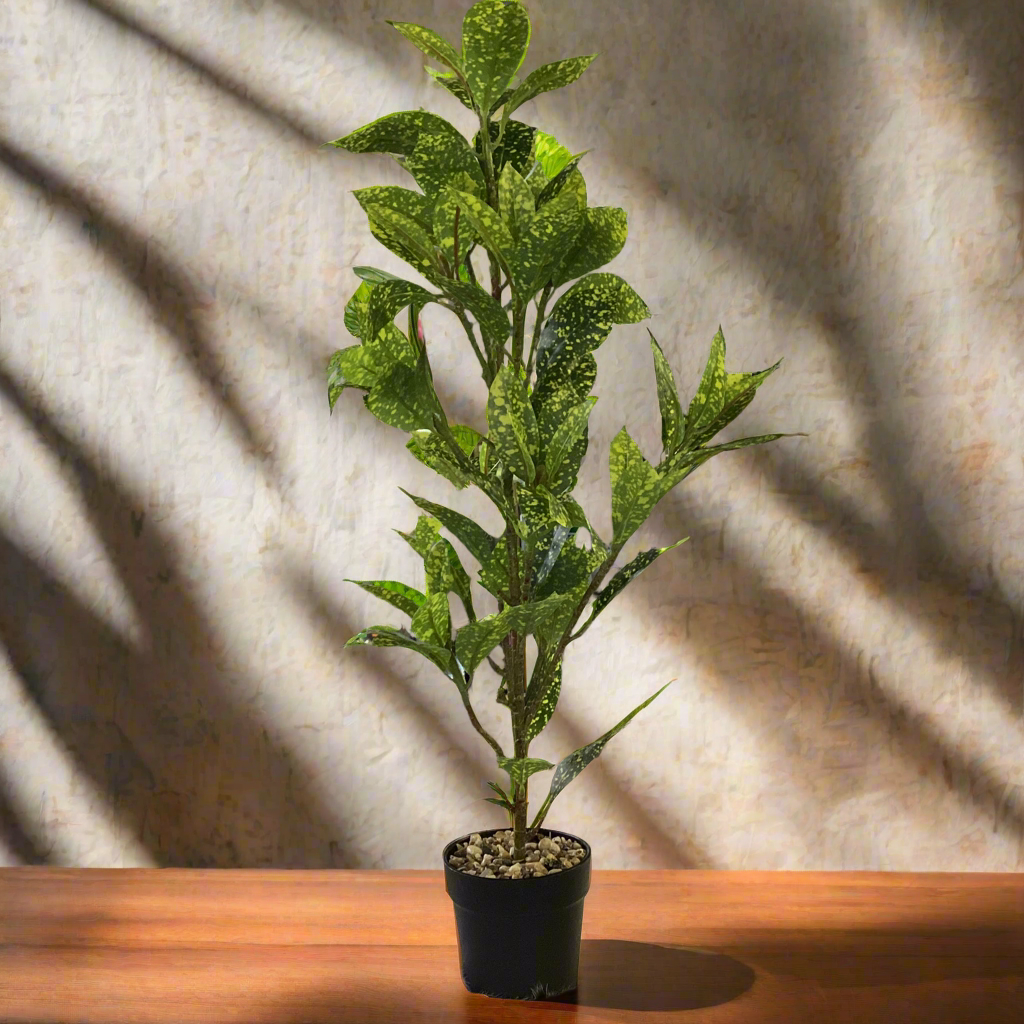 TALL POTTED CROTON PLANT
