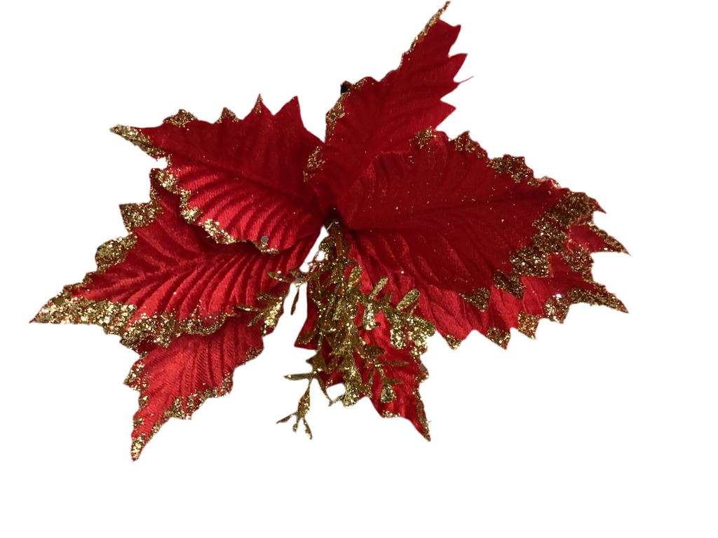 RED CHRISTMAS POINSETTIAS WITH GOLD EDGING