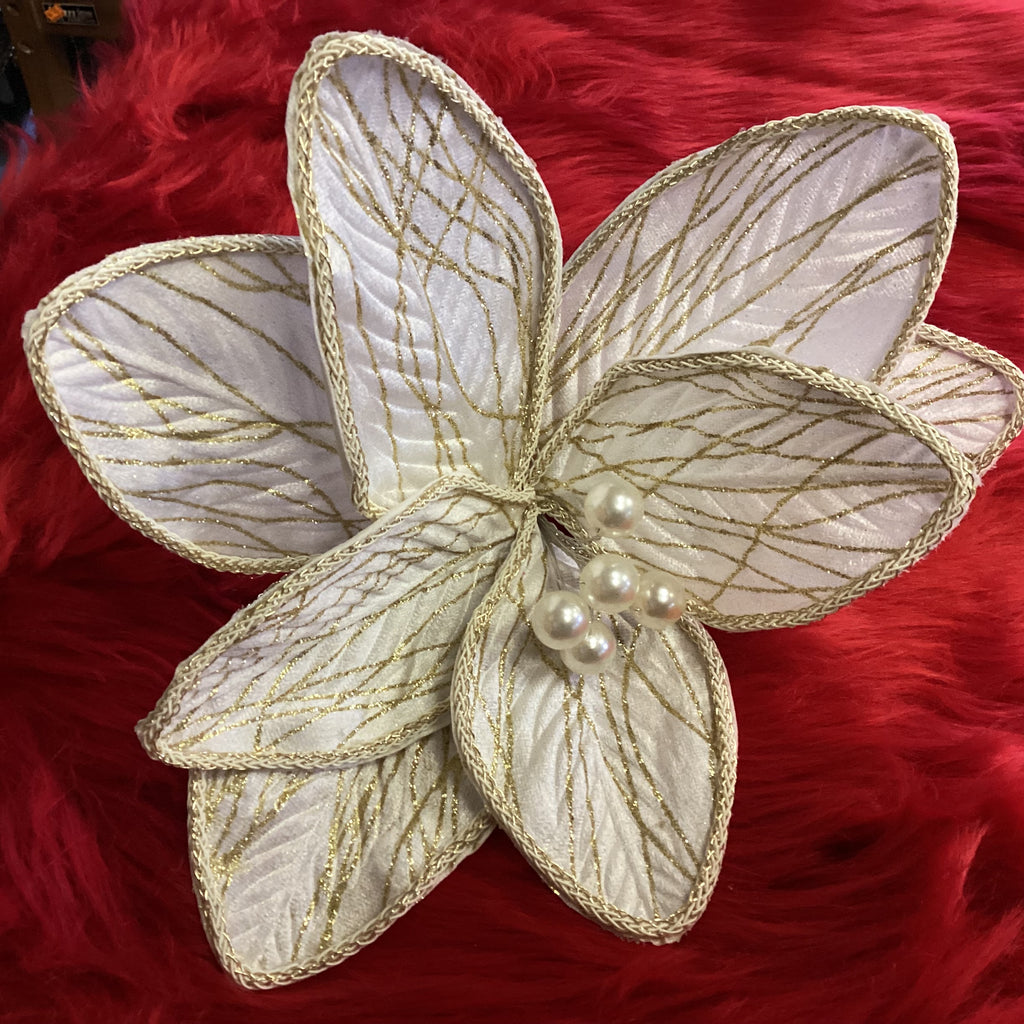 WHITE AND GOLD POINSETTIAS FLOWER