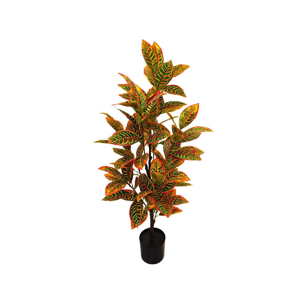 SKYGARDEN CROTON PLANT (39”)
