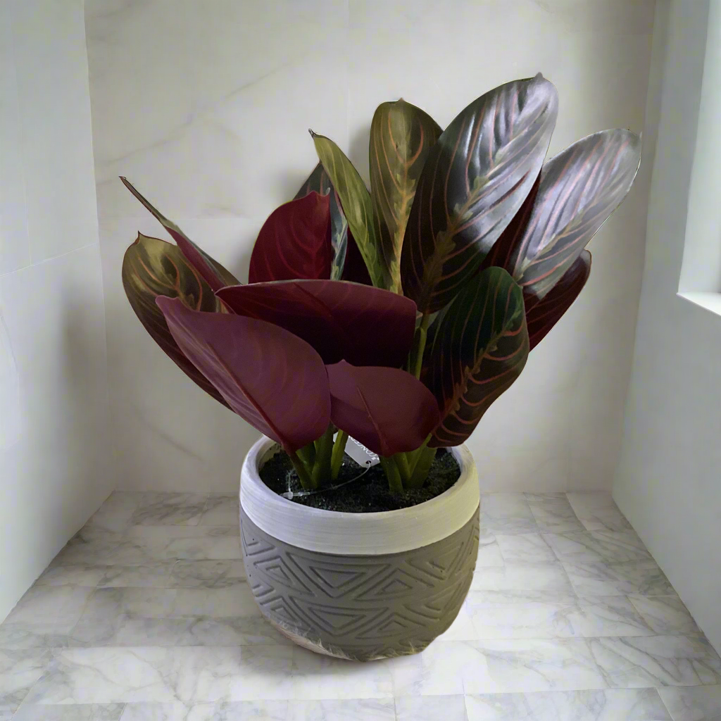 27CM REAL TOUCH MARANTA PLANT IN POT