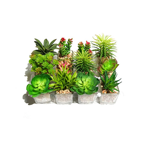 SKYGARDEN ARTIFICIAL SUCCULENTS