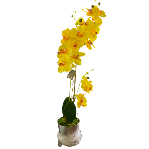 CONCEPTS LIFE POTTED ORCHID (ARTIFICIAL)
