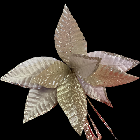 GOLD & CREAM POINSETTIAS