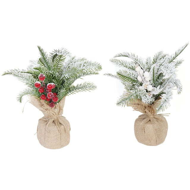 BERRY SNOW PINE TREES