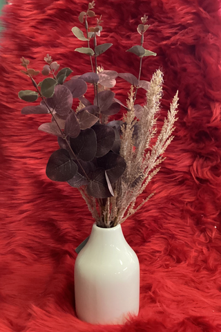 Potted eucalyptus with fillers