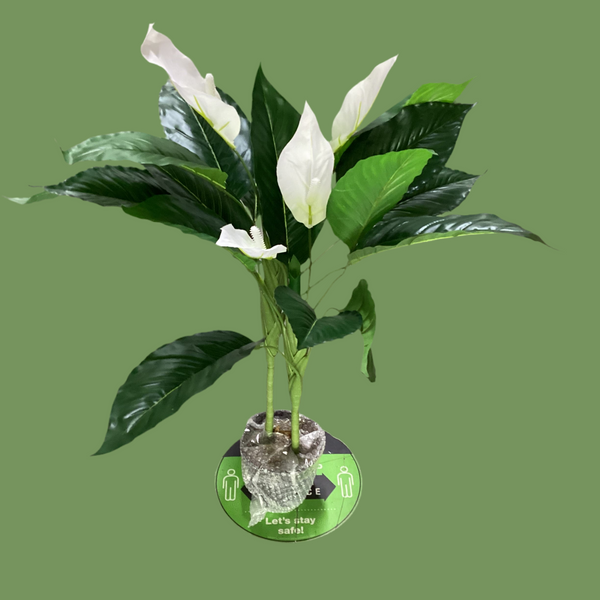 peace lily artificial SKYGARDEN ARTIFICIAL POTTED PEACE LILY – THE HOME EXPO