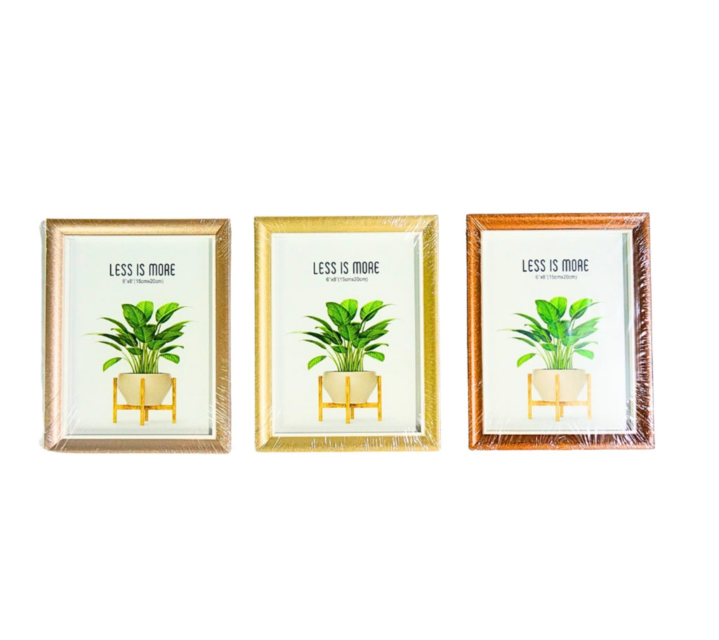 WS 6”x8” PHOTO FRAME