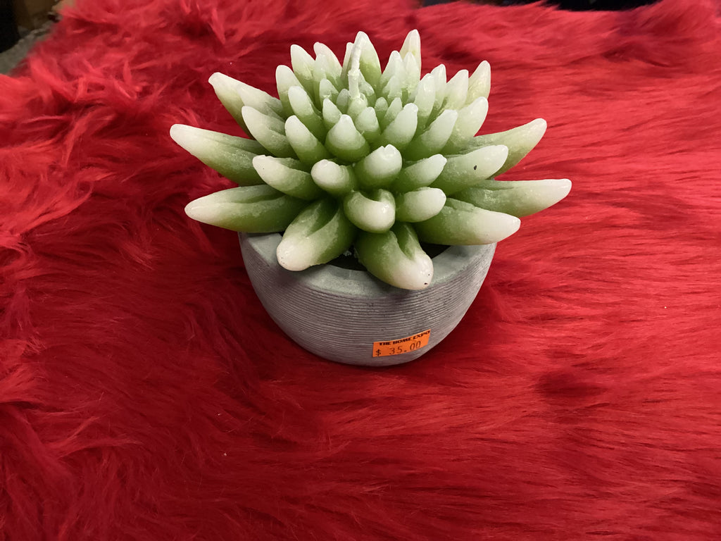 FLOWER IN POT CANDLE