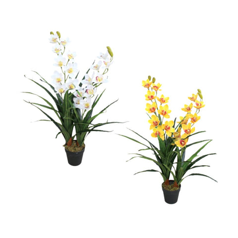 SKYGARDEN ARTICIAL DENDROBIUM ORCHID