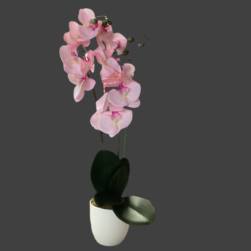 SKYGARDEN 20”(50CM) INDOOR POTTED ARTIFICIAL ORCHID