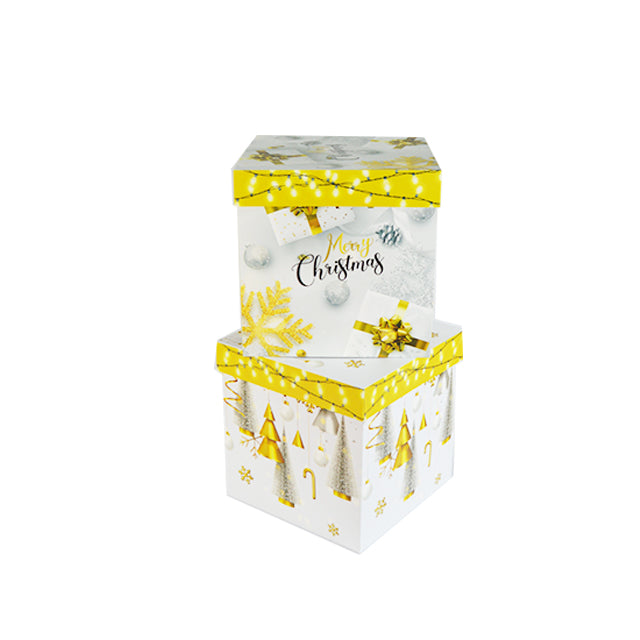 XMAS GIFT BOX BAG