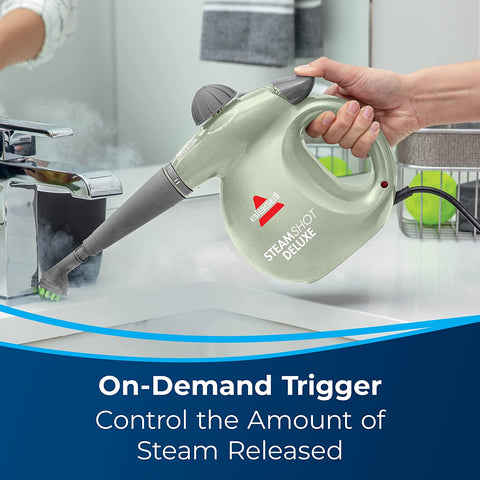 BISSELL STEAM SHOT CLEANER