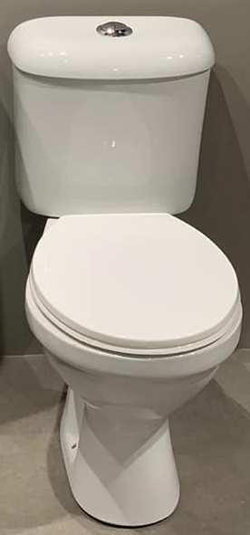 ANCHOR VITREOUS HYGINE TOP FLUSH WHITE SINGLE TOILET