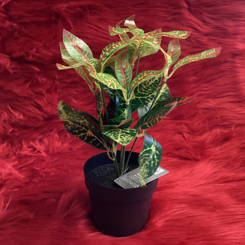 CONCEPTS LIFE ARTIFICIAL POTTED CROTON