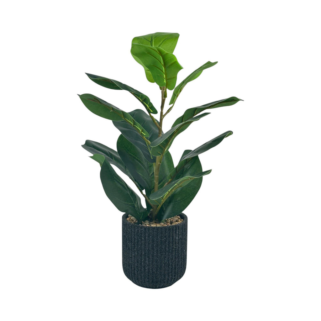 FIDDLE LEAF ARTIFICIAL PLANT IN A POT