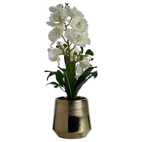 VANDA ORCHID IN ELECTROPLATE GOLD CERAMIC
