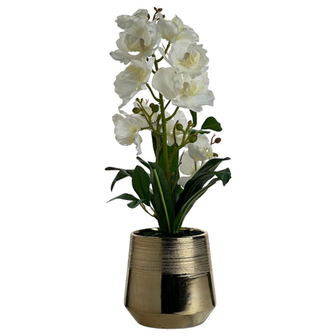 VANDA ORCHID IN ELECTROPLATE GOLD CERAMIC