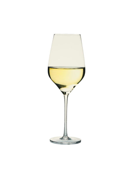 DANNY HOME 13.5oz WINE GLASS SET (2PC)