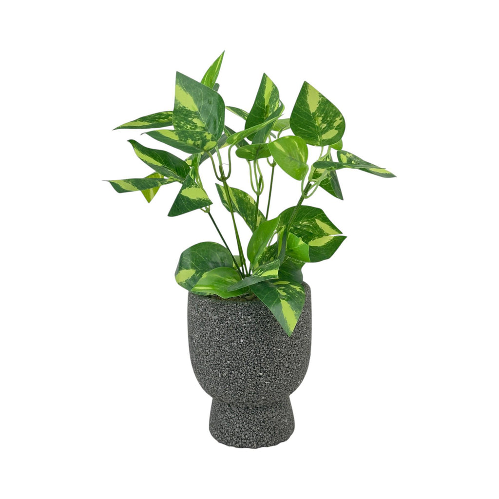 POTHOS ARTIFICIAL PLANT IN A POT