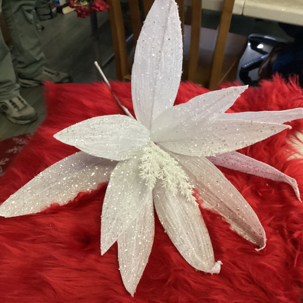 WHITE WITH SILVER HUGE POINSETTIA