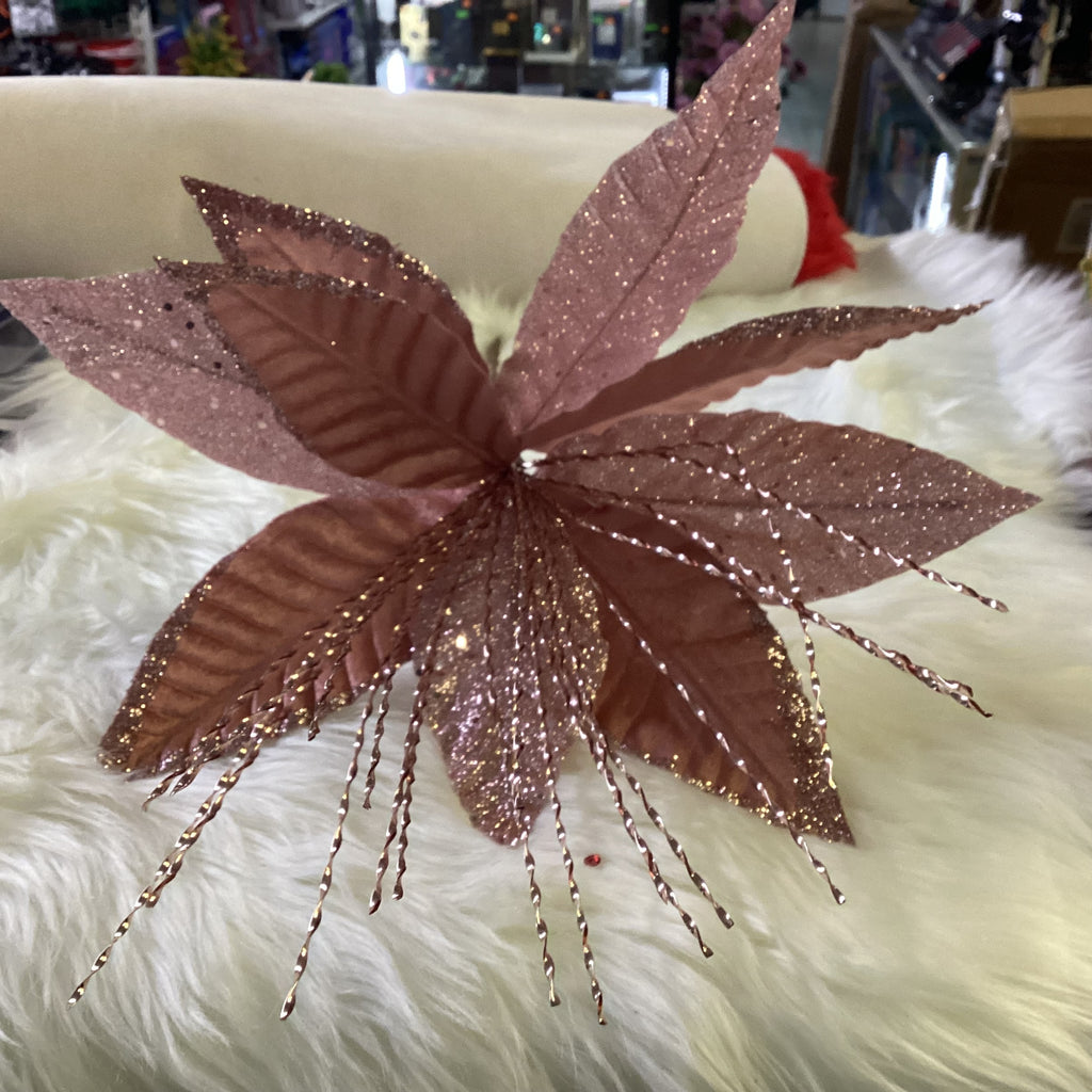 Mild pink poinsettia