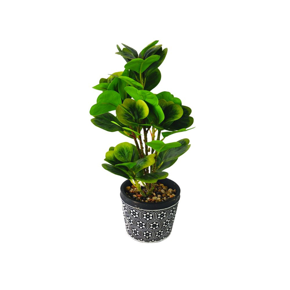 SKYGARDEN 16.5” INDOOR POTTED PLANT