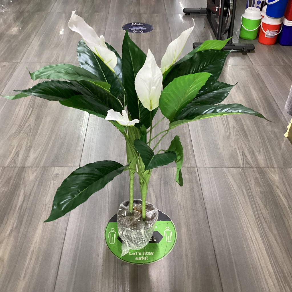 SKYGARDEN ARTIFICIAL POTTED PEACE LILY