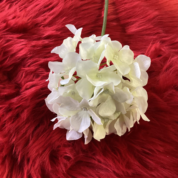 WHITE HYDRANGEA STEM