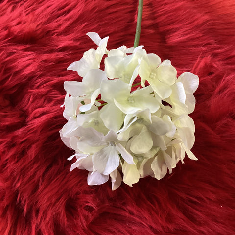 WHITE HYDRANGEA STEM