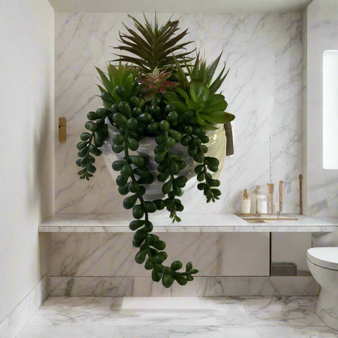 CERAMIC POT WITH SUCCULENTS