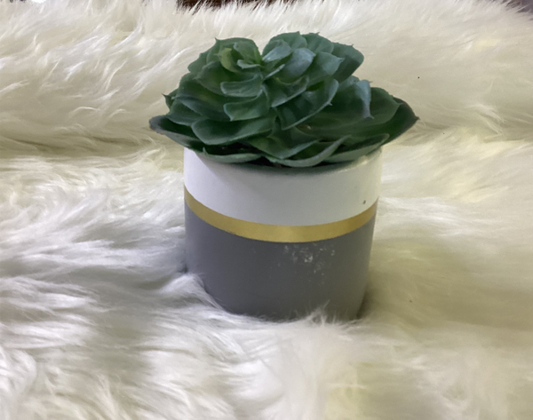 SUCCULENT IN POT