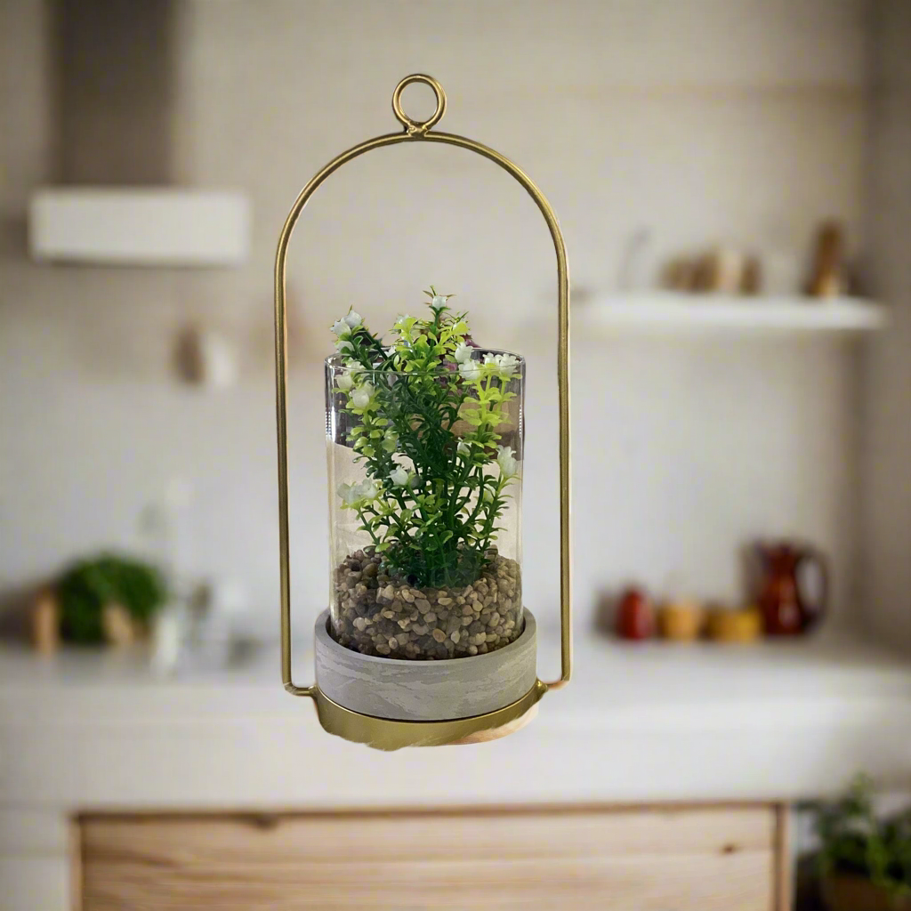 PLANT IN GLASS JAR WITH HANGER