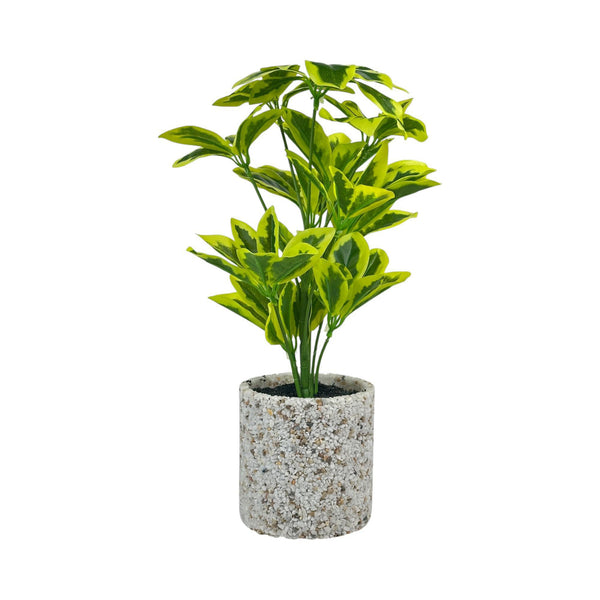 SCHEFFLERA ARTIFICIAL PLANT IN POT
