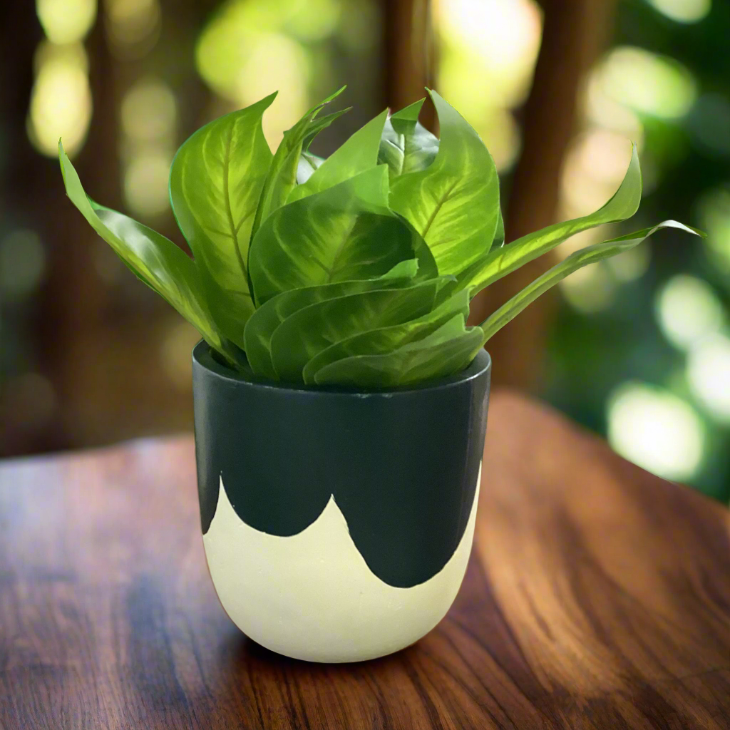 POTTED PLANT POT AND PLANT