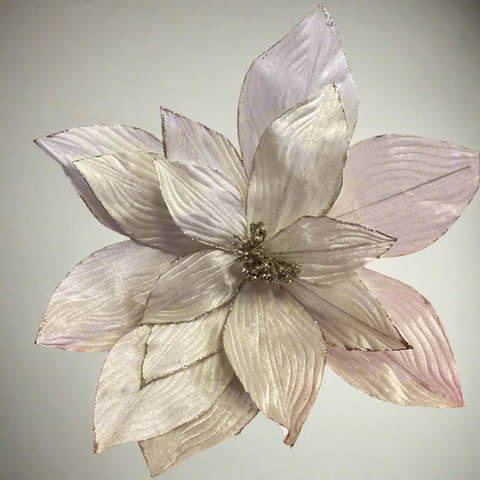 HUGE POINSETTIA WITH GOLD BORDER