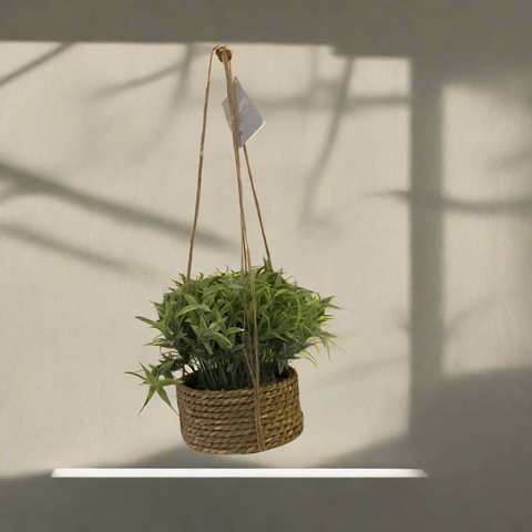 PLANT IN POT hanging decor