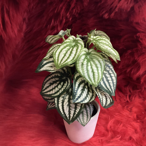 GREEN ARTIFICIAL POTTED PLANT