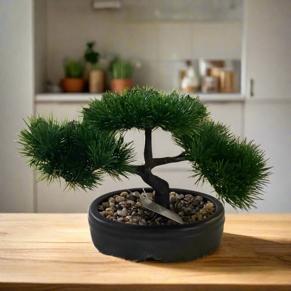 BONSAI PLANT