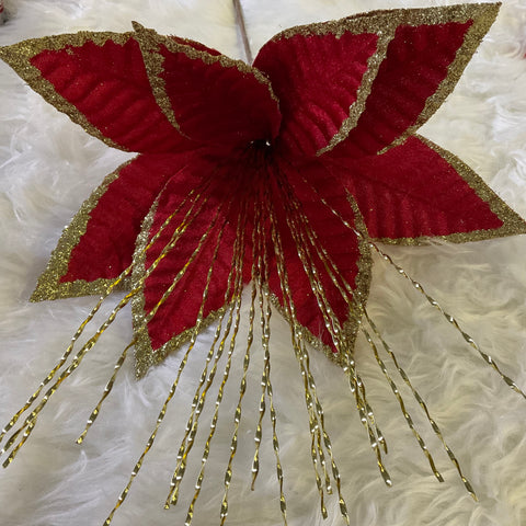 RED WITH GOLD LINES POINSETTIA (huge)
