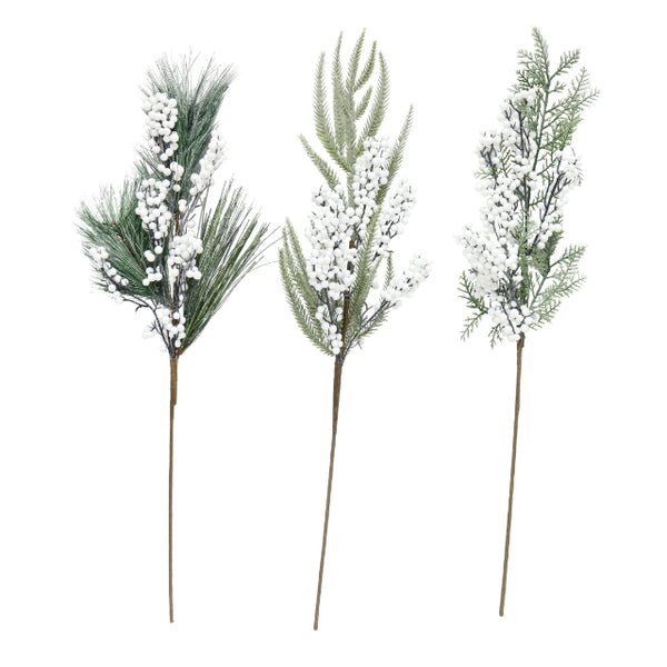 PINE SPARY WHITE BERRIES STEMS