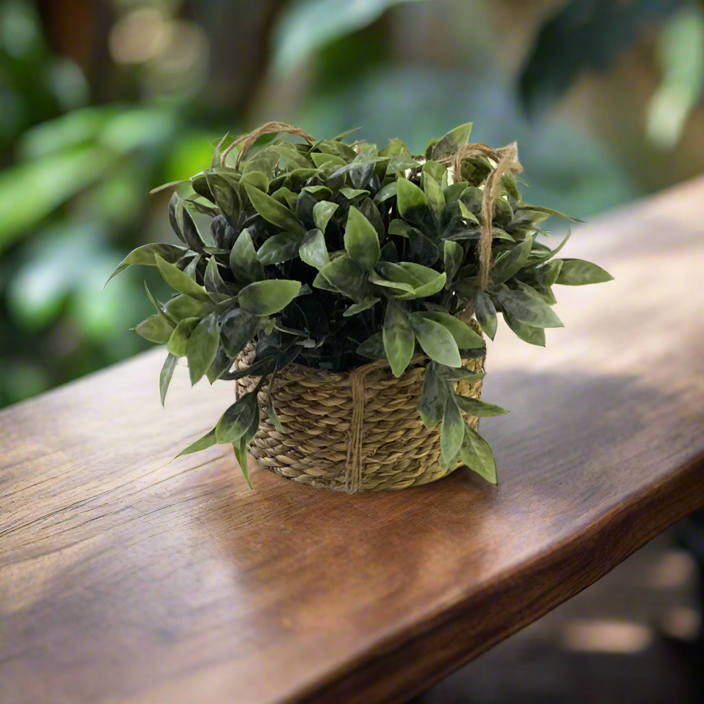 DECORATIVE HANGING PLANT