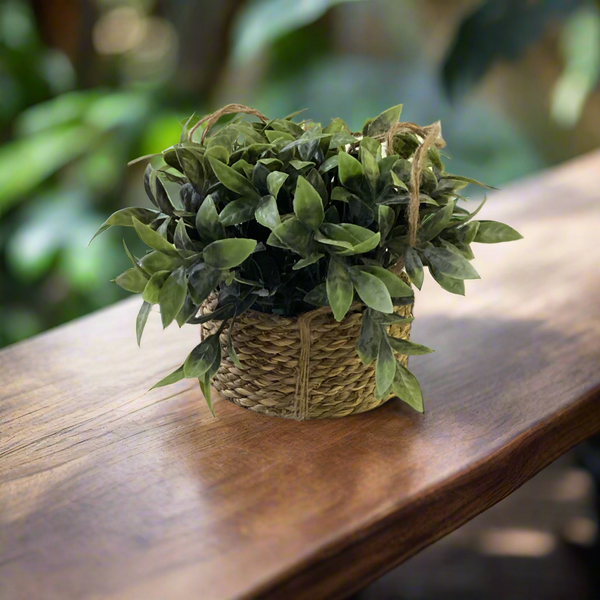DECORATIVE HANGING PLANT