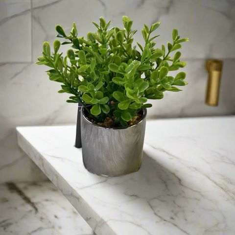 MINI GREEN PLANT IN POT