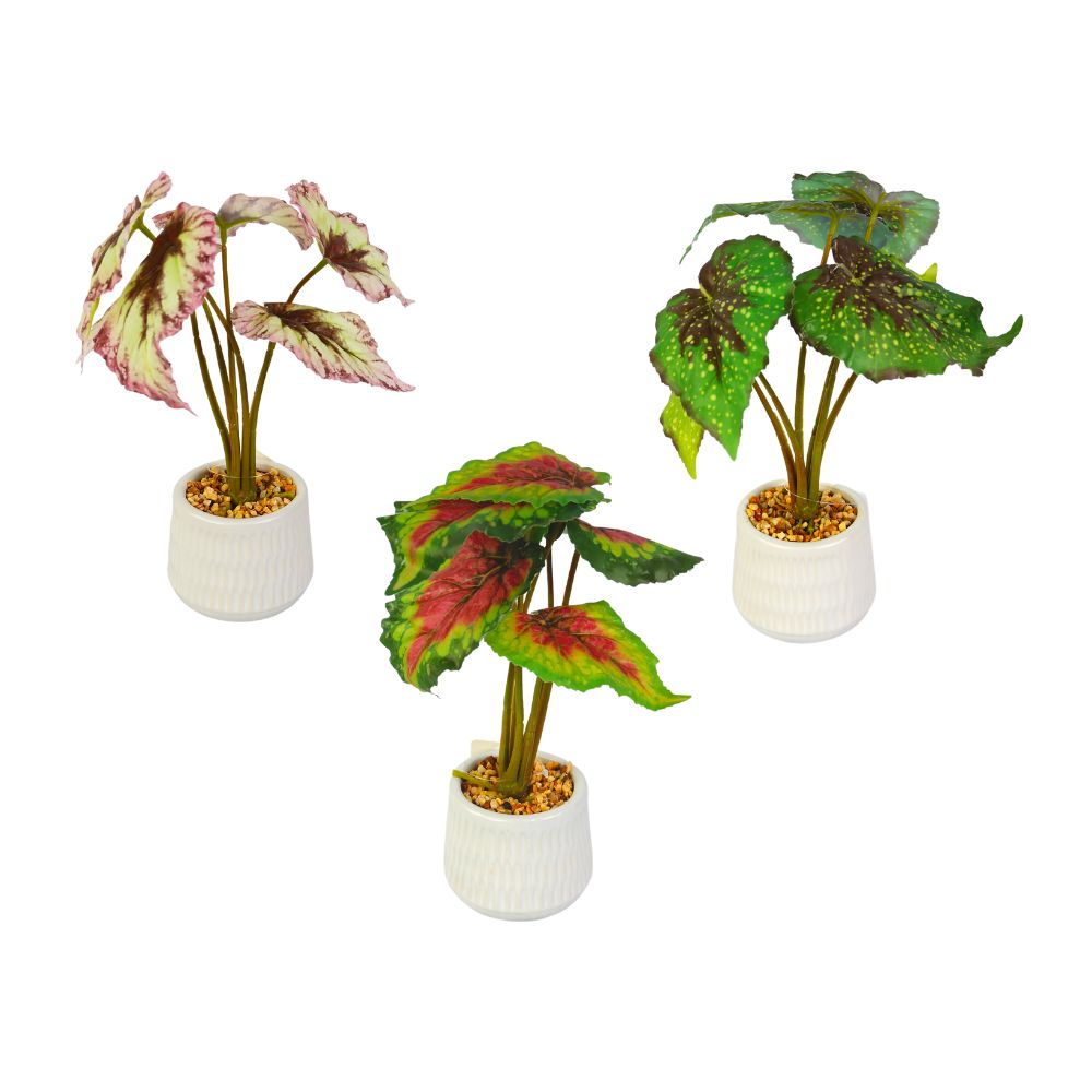 SKYGARDEN 10” INDOOR ARTIFICIAL POTTED BEGONIA PLANT