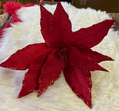 HUGE RED POINSETTIA