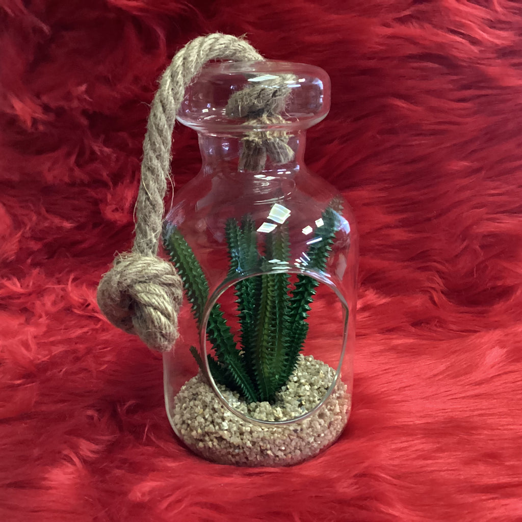HANGING GLASS JAR WITH CACTUS
