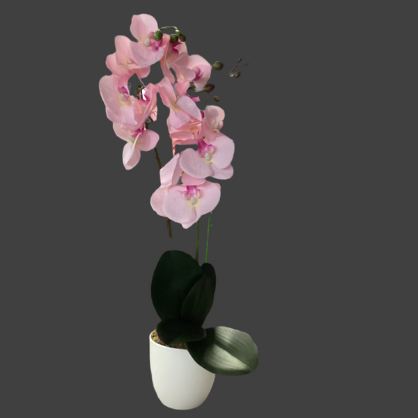 SKYGARDEN 20”(50CM) INDOOR POTTED ARTIFICIAL ORCHID