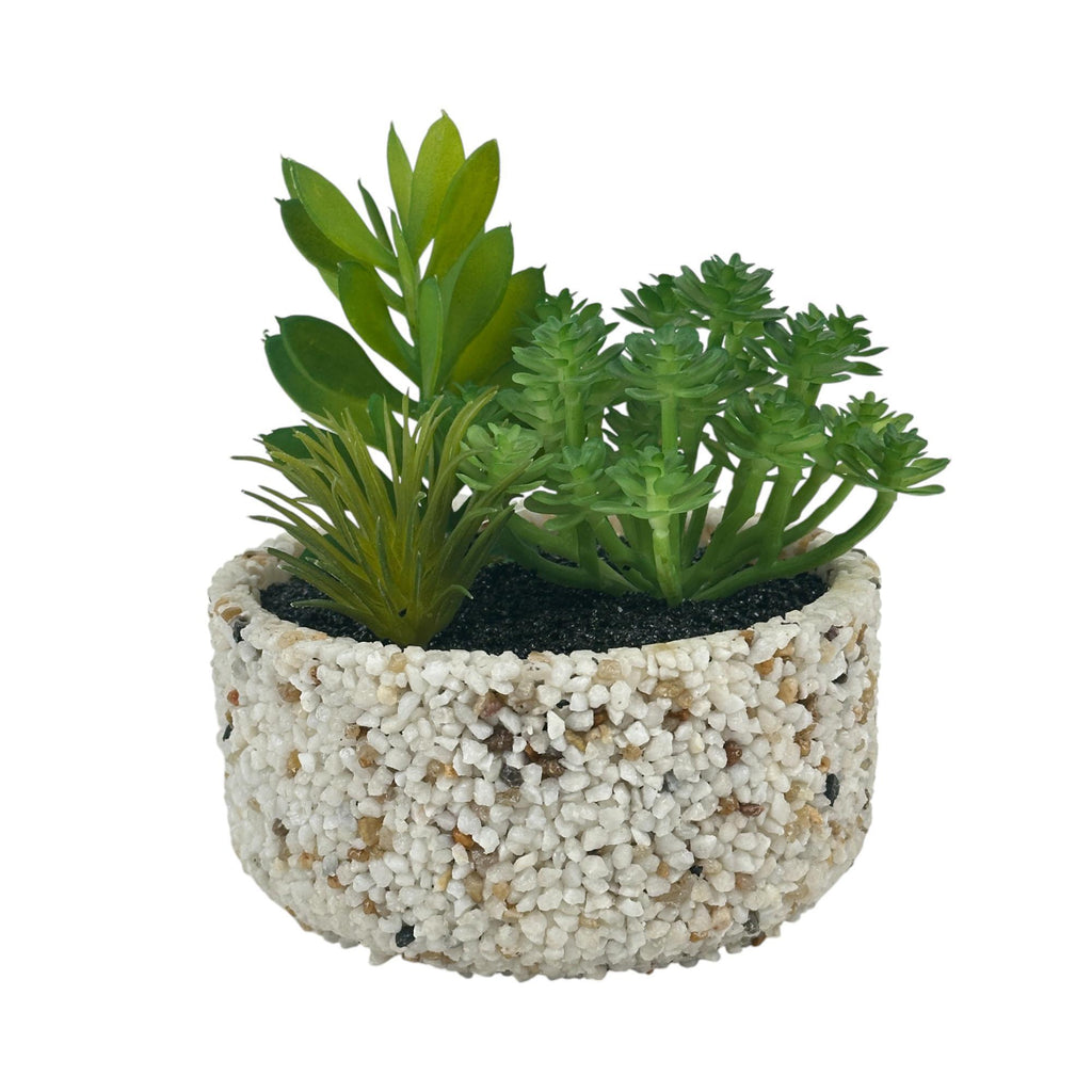 SUCCULENT ARTIFICIAL PLANT IN POT